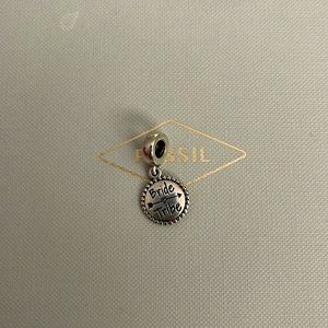 Slightly used bride tribe pandora charms